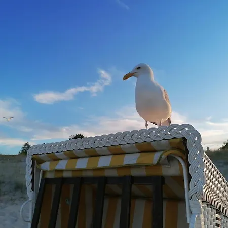 Medici Mit Strandkorb 아파트 제바트헤링스도르프