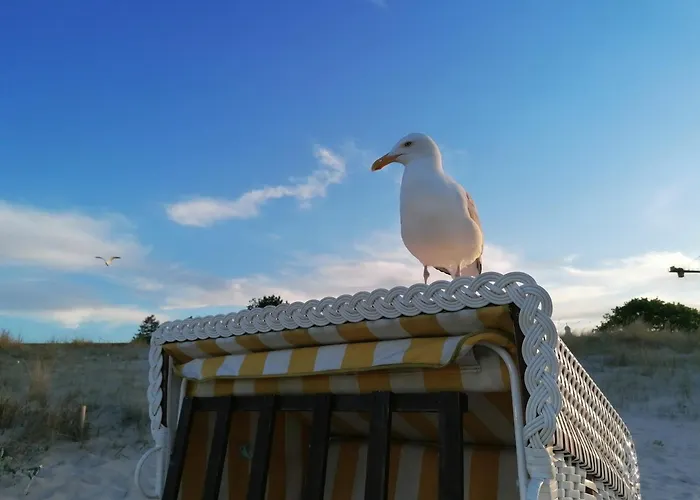 Medici Mit Strandkorb Apartment Ostseebad Heringsdorf